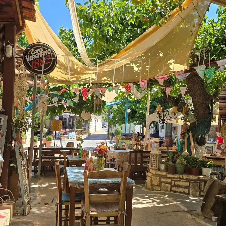 Carob & Olive restaurant terrace in summer with tables under the trees